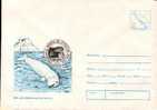 Whales Baleins Enteire Postal 1994. - Sonstige & Ohne Zuordnung