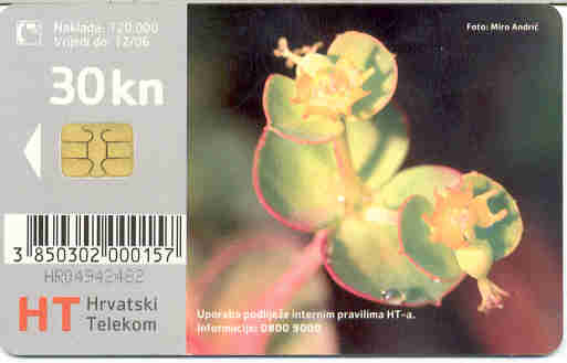 TELECARTE CROATIE FLORA HERCEGOVACHA MLJECIKA - Kroatien