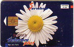 MAURICE THE INTERNET BY TELECOM PLUS FLOWER 115U UT ANCIENNE RARE - Mauritius