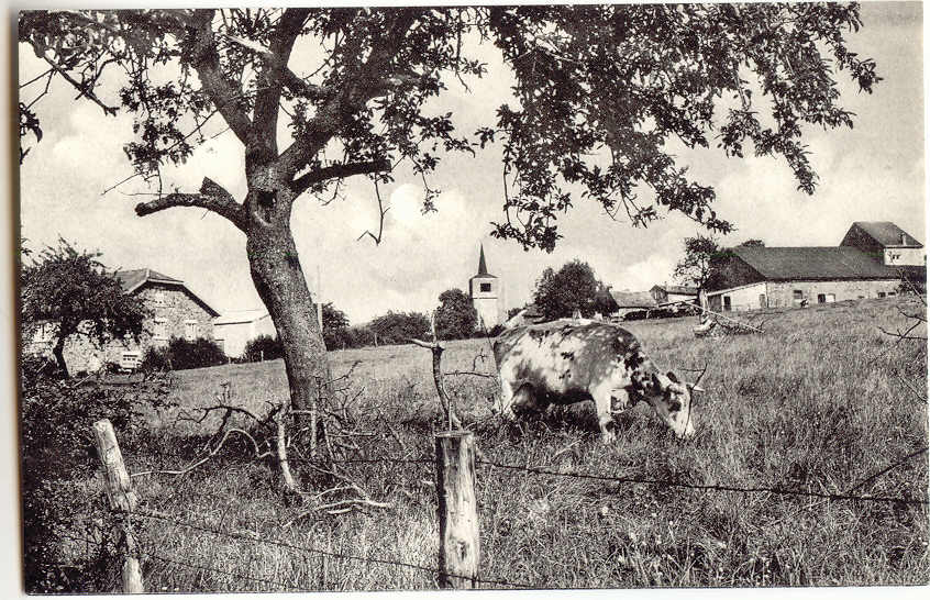 Lux 24 -2 - FREYNEUX - Dochamps  -  Paysage Champêtre - Manhay