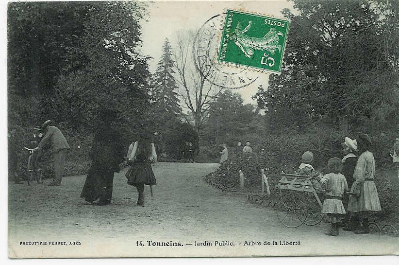 TONNEINS - Jardin Public - Arbre De La Liberté (landeau) - Tonneins