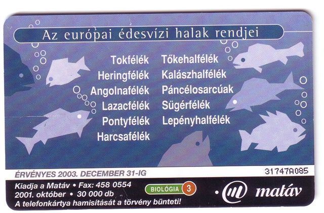 Hungary - Hongrie - Undersea – Marine Life – Fish – Fisch – Poisson – Pez – Pesci  ( Only 30.000 Ex. ) - Peces