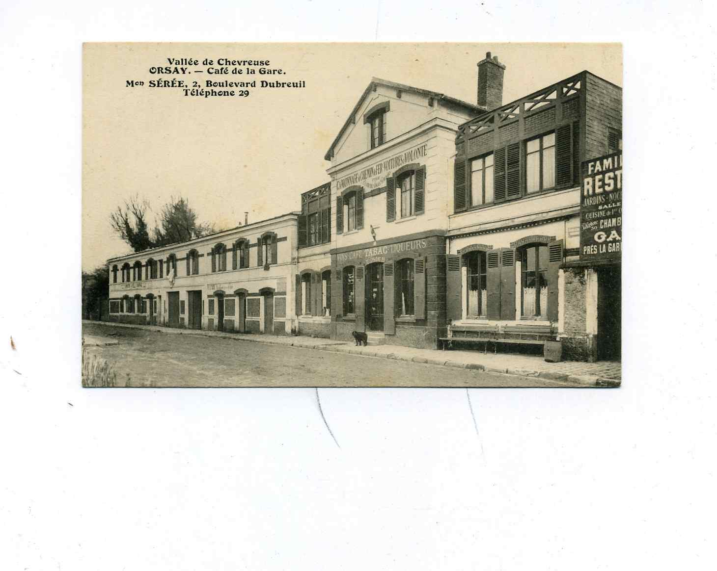 91- Orsay- Cafe De La Gare-(VOITURES àVOLONTE) Mme SEREE -2 BOULEVARD DUBREUIL -chien - Orsay