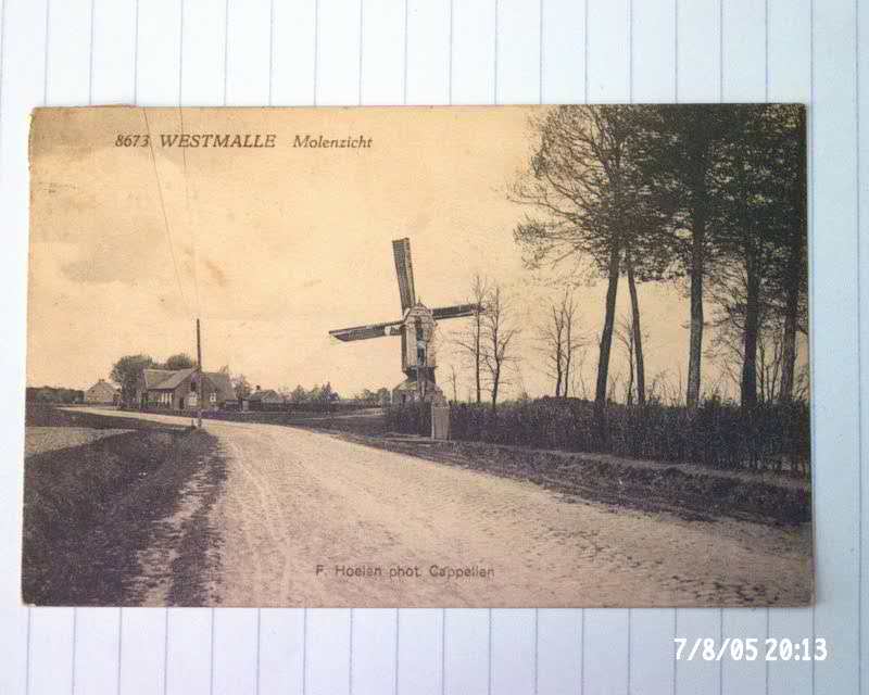 Westmalle Molen - Mol