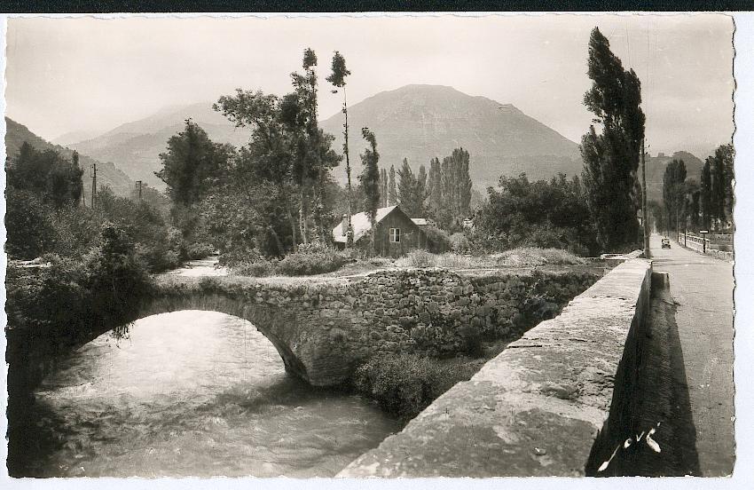 65 - ARGELES-GAZEOST. Vieux Pont Sur Le Gave D'Azun. - Argeles Gazost