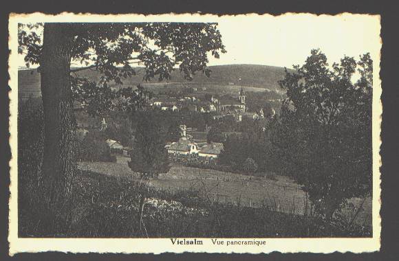 330 - Vielsalm Vue Pano - Vielsalm