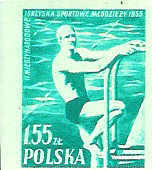 NATATION TIMBRE NEUF NON DENTELE PLONGEON POLOGNE 1955 - Nuoto