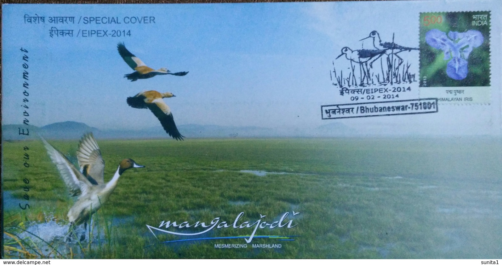 Bird, Marshland,pictorial Postmark, Special Cover,Sanctury - Cigognes & échassiers