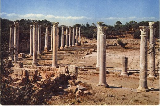 Ruins Of Salamis - Zypern