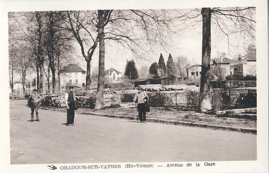 87 - HAUTE VIENNE - ORADOUR SUR VAYRES - AVENUE DE LA GARE - CARTE ANIMEE - Oradour Sur Vayres