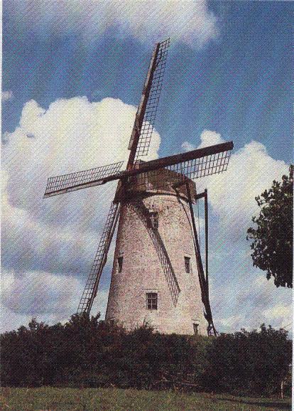 DAMME - SCHELLEMOLEN - Foto 1962 - Damme