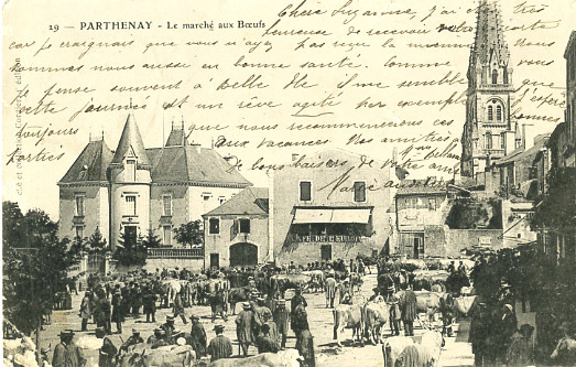 79 - DEUX SEVRES - PARTHENAY - AGRICULTURE - MARCHE Aux BOEUFS - PRECURSEUR - VOYAGEE 1903 - N° 29 - Parthenay