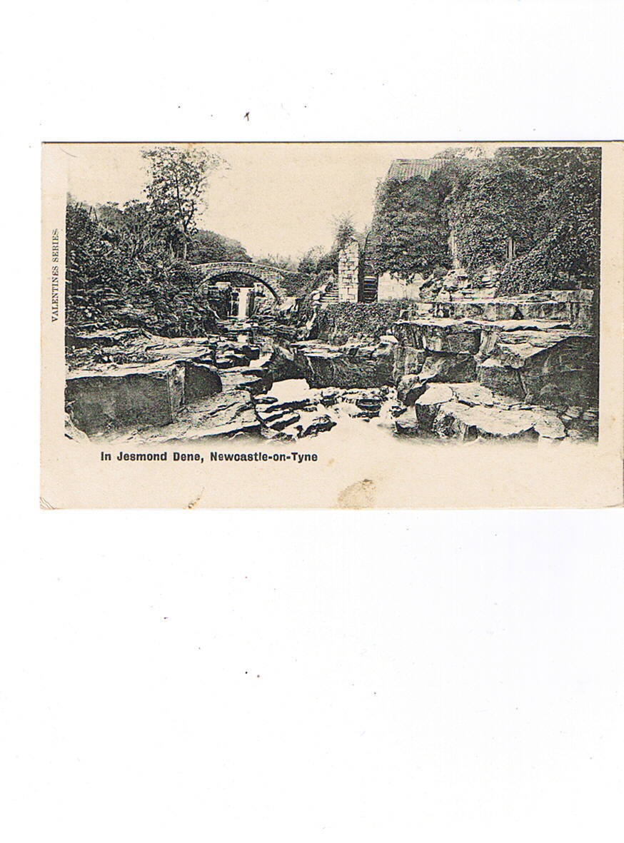 NEWCASTLE    On Tyne    IN JESMOND DENE     Neuve Dos Non Séparé 1904 - Newcastle-upon-Tyne