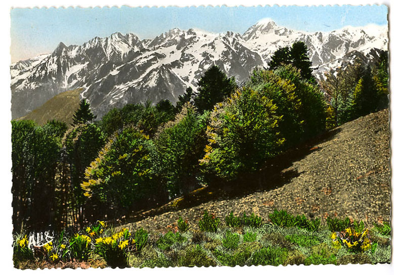 {19458} Haute Garonne Luchon Superbagnères , Vue Du Plateau De Superbagnères Cachet Les Pyrénées Super Bagnères Alix - Superbagneres