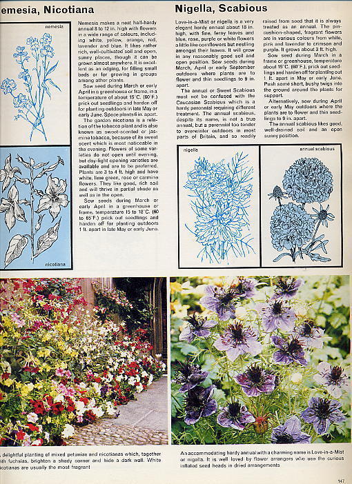 "ALL-COLOUR GARDENING BOOK" PAR ARTHUR HELLYER - - Jardinage