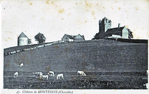 Charolles - Le Château De Montessus - Charolles