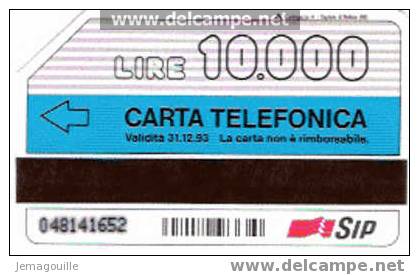 TELECARTE ITALIE 31.12.1993  - SCOPRI LA CARTA INFINITA LIRE 10000 - Sammlungen