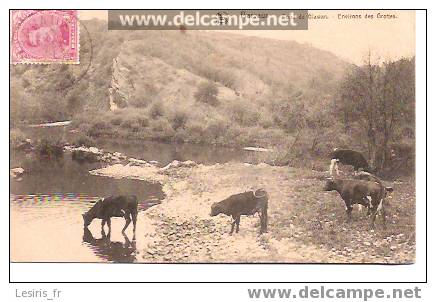 CPA - BARVAUX - PONT DE GLAWAN - ENVIRONS DES GROTTES - ANIMEE - VACHES - Durbuy