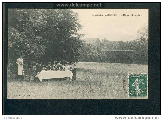 Sanatorium Minoret ( Champrosay ) - Diner Champêtre (animée) - Draveil