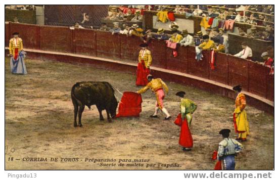 Taureaux Corrida - Bull