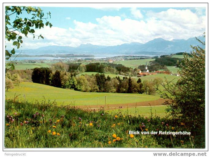 Ratzingerhöhe, Weingarten. Blick Auf Chiemsee - CAk - (d 1018) - Chiemgauer Alpen