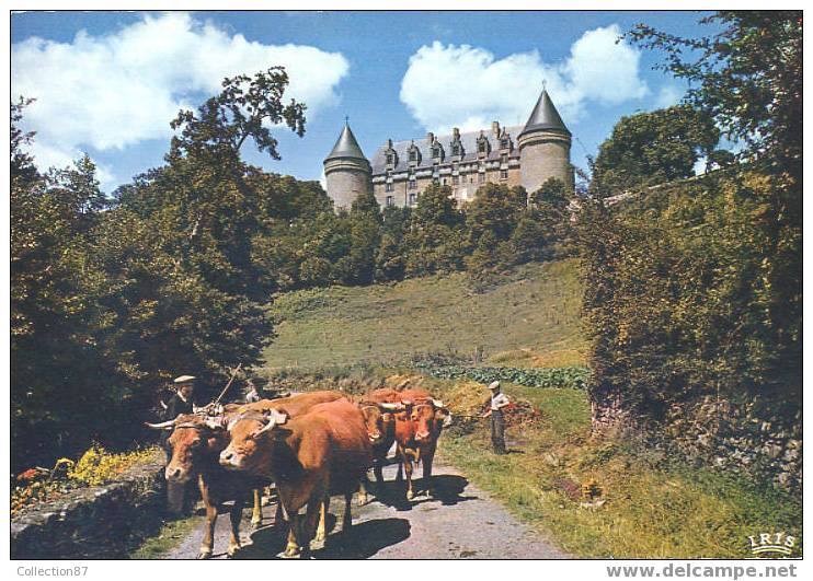 87 - HAUTE-VIENNE - ROCHECHOUART - LE CHATEAU - AGRICULTURE - ATTELAGE DE BOEUFS - TRES BELLE CARTE - Rochechouart