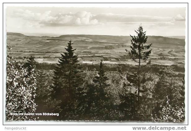 D 1252 - Blick Ins Auetal Vom Bückeberg - S/w Foto Ak, Nicht Gelaufen - Schaumburg