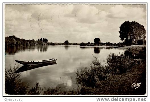 Chalonnes Sur Loire - Les Rives De La Loire - Chalonnes Sur Loire