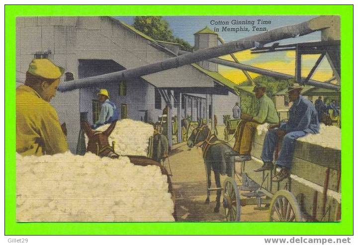 MEMPHIS, TN - COTTON GINNING TIME - ANIMATED IN CLOSE UP - CARD IS WRITTEN - - Memphis