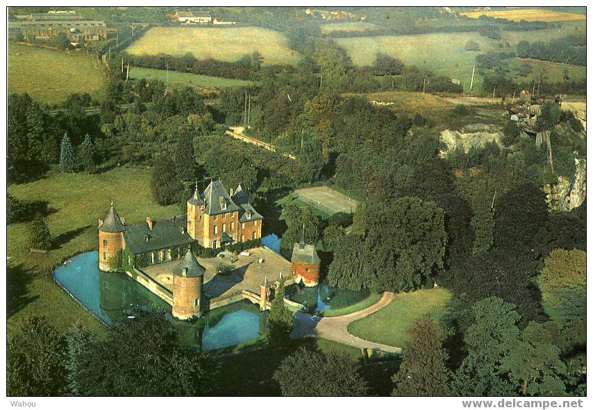 BAVAY   (Nord)   -  Vue Aérienne Château De Rametz    (des Années 80) - Bavay