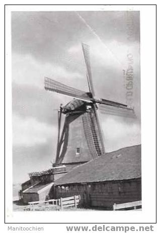 PAYS BAS  MOULIN A HELD JOZUA - Zaandam