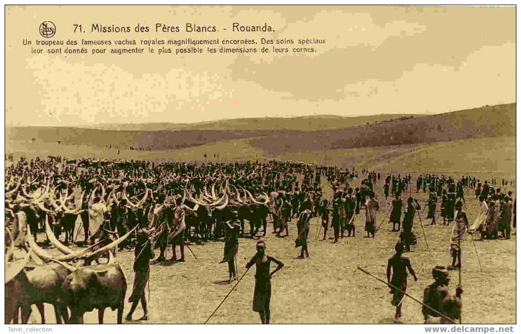 Missions Des Peres Blancs - Rouanda - Un Troupeau Des Fameuses Vaches Royales... - Missionen