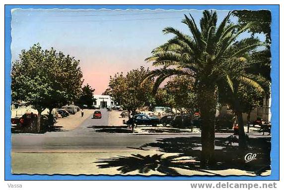 TLEMCEN. Vue Vers La Préfecture. (voitures D'epoque). ALGERIE - Tlemcen