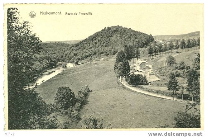 Herbeumont - Route De Florenville - Herbeumont