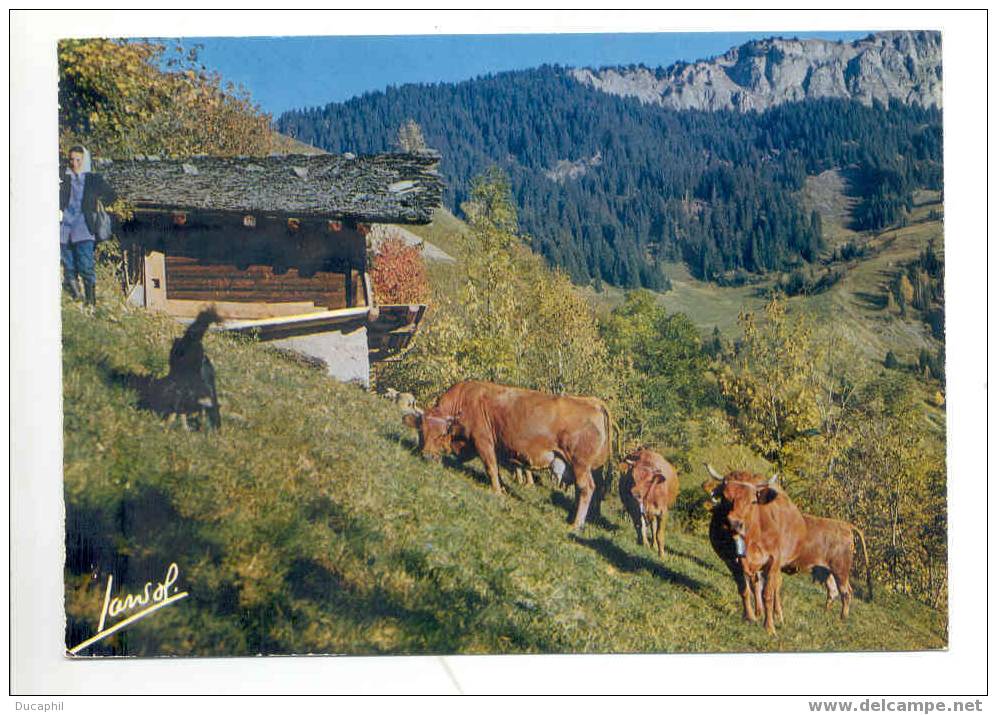 ALPAGES AUX ENVIRONS D ARECHES - Viehzucht