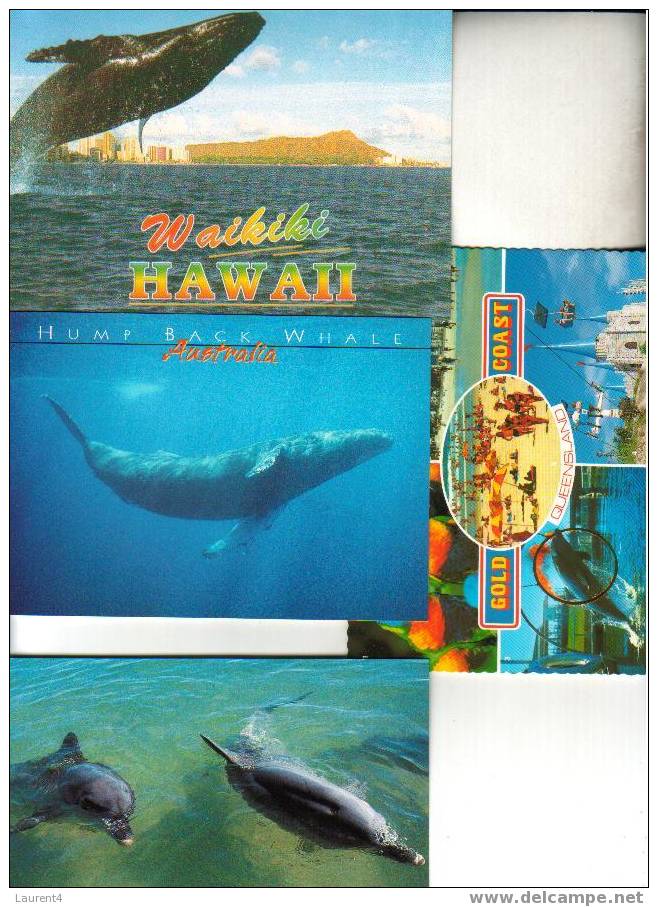 4 X Dolphin & Whale Postcard - 4 Carte De Dauphin - Balaine - Delphine