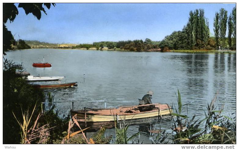 Entre FONTAINE-le-PORT Et BOIS-le-ROI    (Seine-et-Marne)    La Pêche Sur Seine - Bois Le Roi