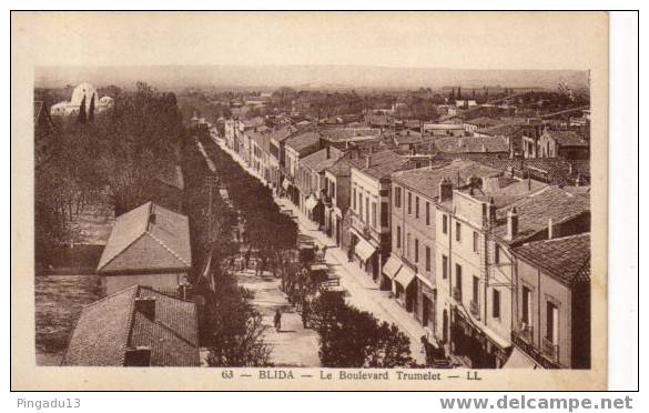 Blida Boulevard Trumelet à Voir - Blida