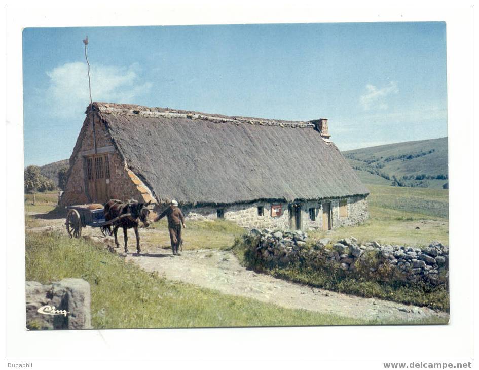 BURONS EN AUVERGNE - Bauernhöfe