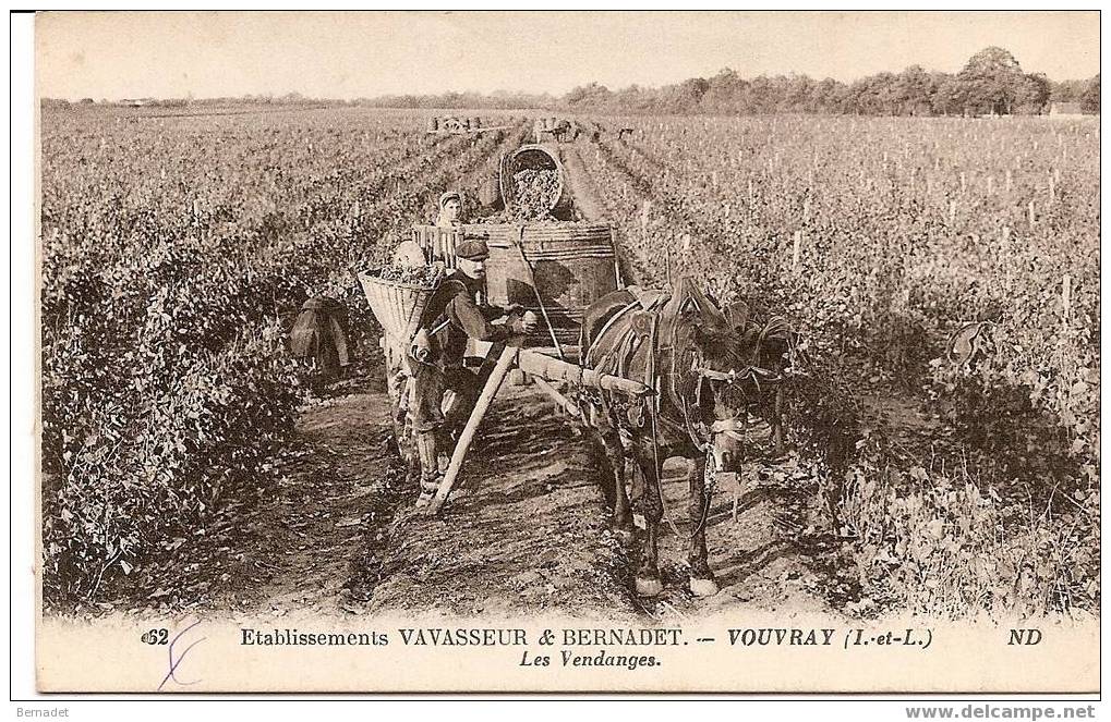 VOUVRAY...ETABLISSEMENTS VAVASSEUR ET BERNADET..LES VENDANGES - Vouvray