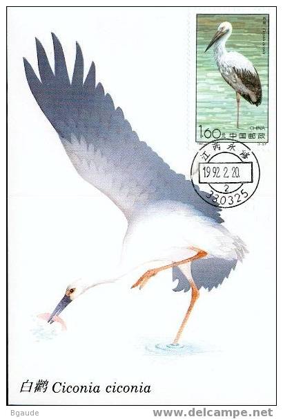 CHINE CARTE MAXIMUM NUM.YVERT 3106 OISEAUX CIGOGNE - Cartes-maximum