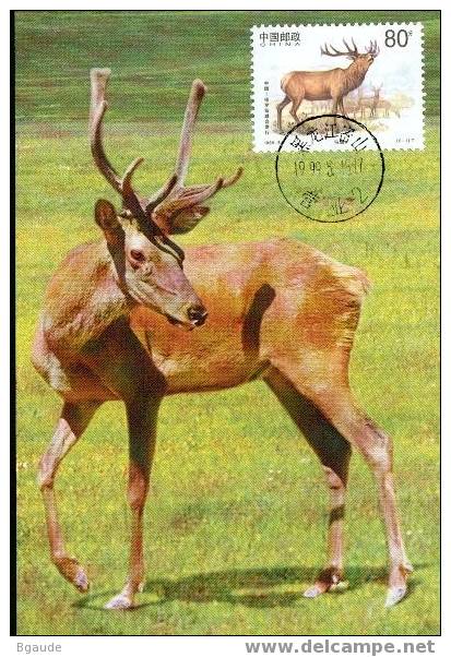 CHINE CARTE  MAXIMUM         NUM.YVERT    3675 FAUNE CERF EMISSION CONJOINTE AVEC LA RUSSIE 2 CARTES - Cartes-maximum