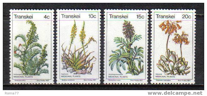 D523 - TRANSKEI , PIANTE MEDICINALI  N. 24/27  *** - Tabak