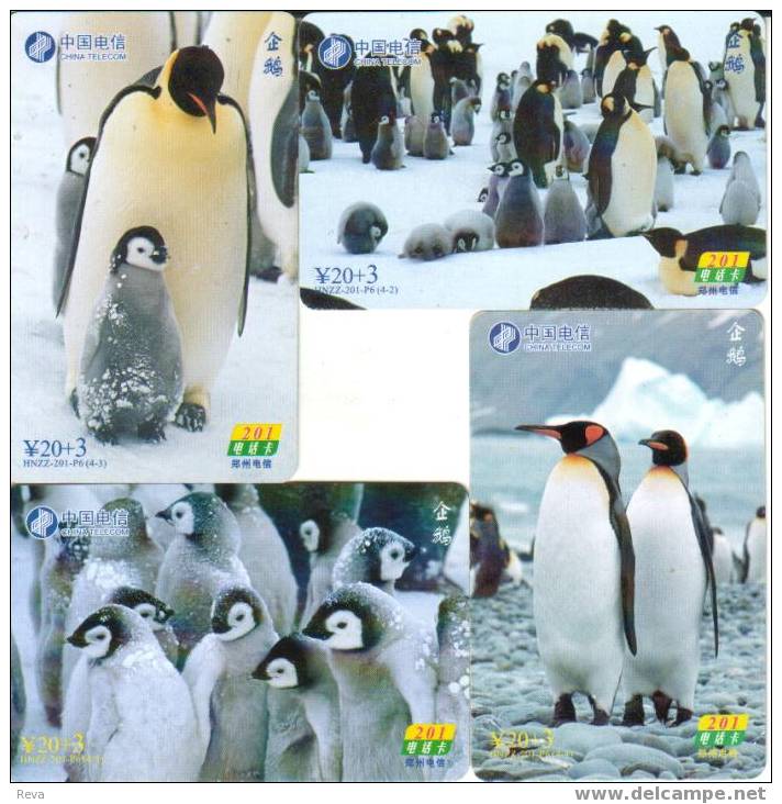 CHINA  SET OF 4   PENGUIN  BIRD  BIRDS   SPECIAL PRICE !! - Chine