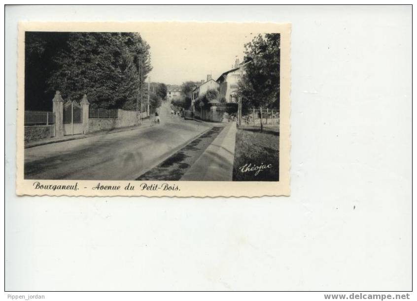 23 BOURGANEUF ** Avenue Du Petit-Bois * Belle Carte Animée* - Bourganeuf