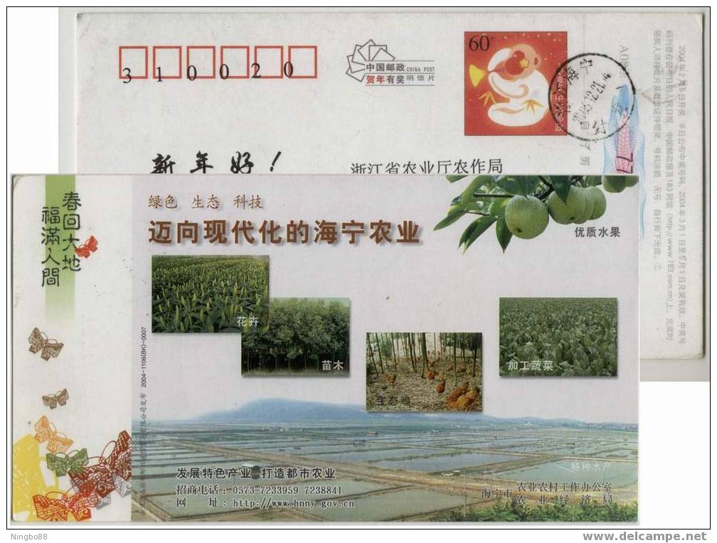 China  2004 Mordern Haining Agriculture Pre-stamped Card Fruit Flower Garden Chicken Livestock Husbandry - Ferme
