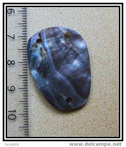 Perle En Nacre Abalone ( Ormeaux, Paua ) 3 Trous - Perle