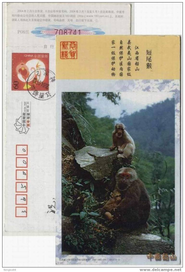 China 2004 Qianshan Landscape Prestamped Card Short-tail Macaque Monkey - Apen