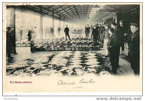 Fish  Market - Aberdeenshire