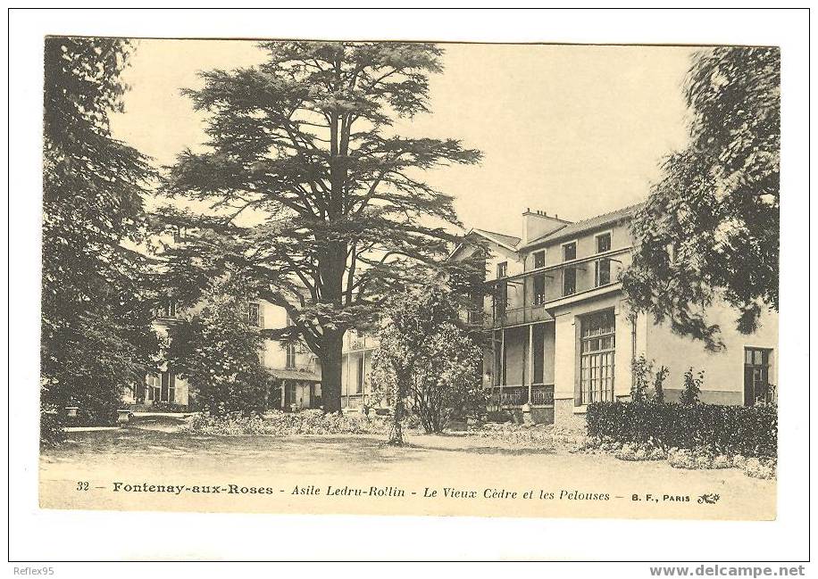 FONTENAY AUX ROSES - Asile Ledru-Rollin - Le Vieux Cèdre Et Les Pelouses - Fontenay Aux Roses